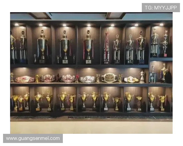 百年荣耀再启航英超劲旅埃弗顿俱乐部的历史传承与未来展望 百年荣耀再启航英超劲旅埃弗顿俱乐部的历史传承与未来展望