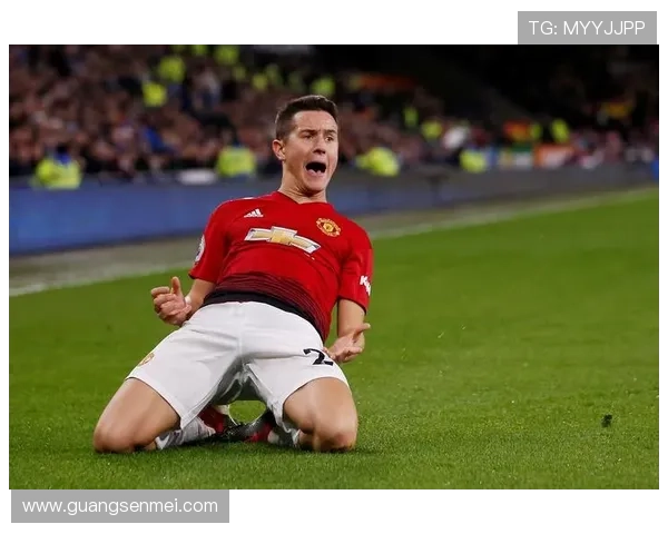 卡迪夫城俱乐部:从威尔士足球的传统到英格兰足球的崛起之路