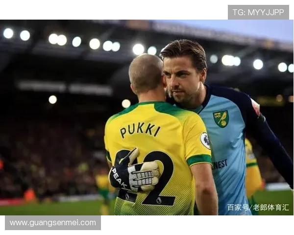 诺维奇足球俱乐部发展历程与英超竞争力分析