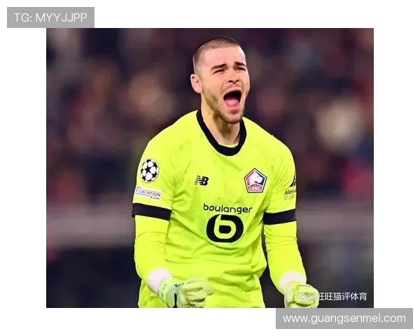 里尔俱乐部崛起之路：从法国足坛新星到欧洲赛场强者的转型历程