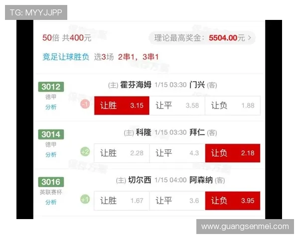 霍芬海姆1899俱乐部宣布新赛季阵容调整和管理层变动细节