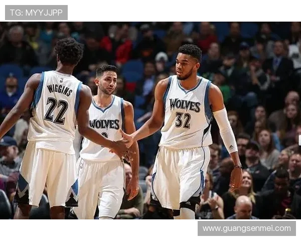 黄蜂队重建之路全面解析从青涩阵容到冲击季后赛的崛起之势